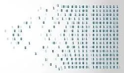 data | Elias Recruitment