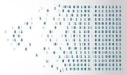 data | Elias Recruitment